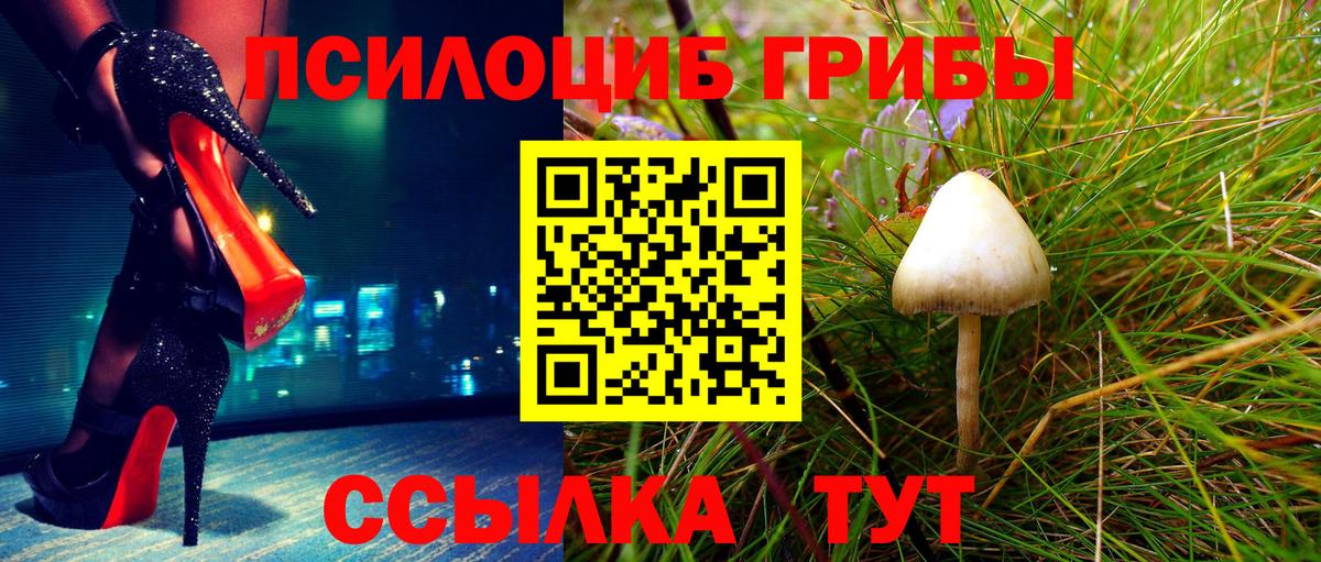 Галлюциногенные грибы мицелий  Вход с VPN  цены наркотик  Белово 